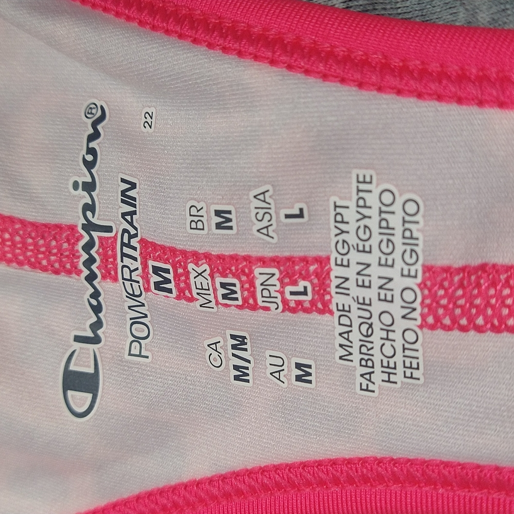 Champion - Picture 7 of 8